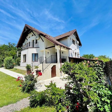 Hermesvilla Băile Felix Dış mekan fotoğraf