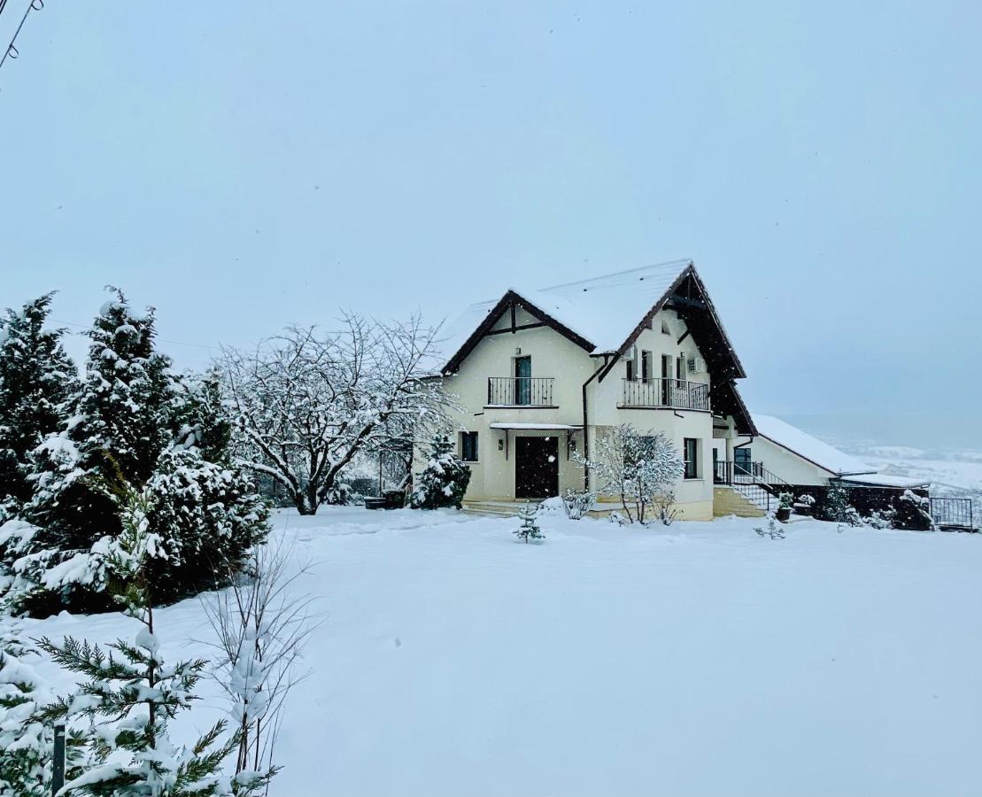 Hermesvilla Băile Felix Dış mekan fotoğraf